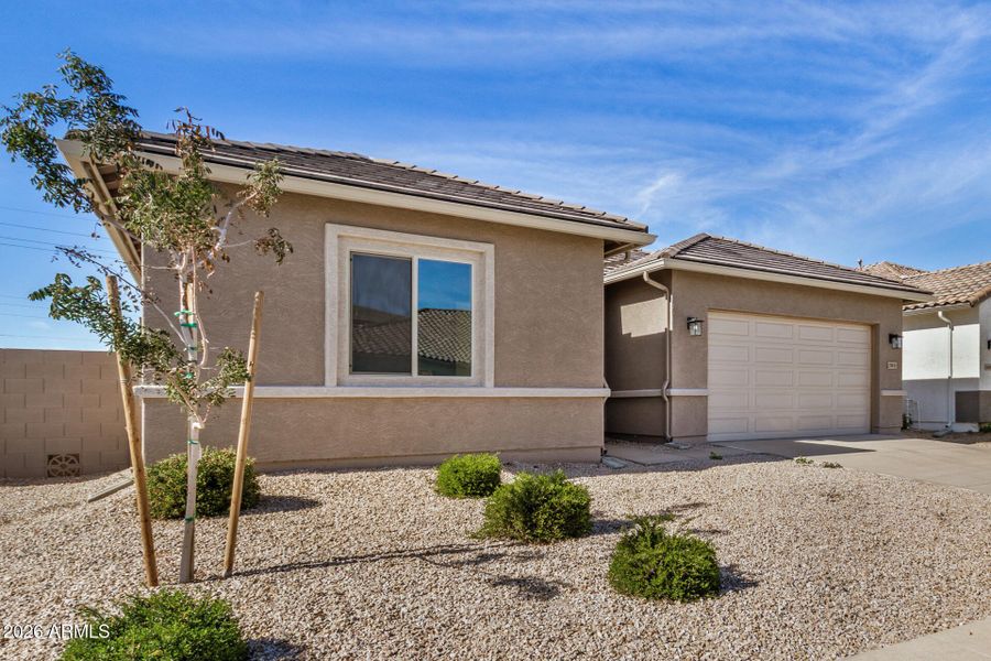 06 - Hayweather 06 - Hayweather