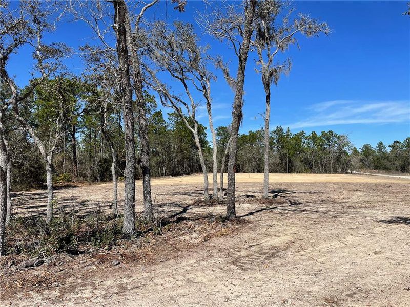 Natural landscape and outdoor views near  in Dunnellon (Image 64).