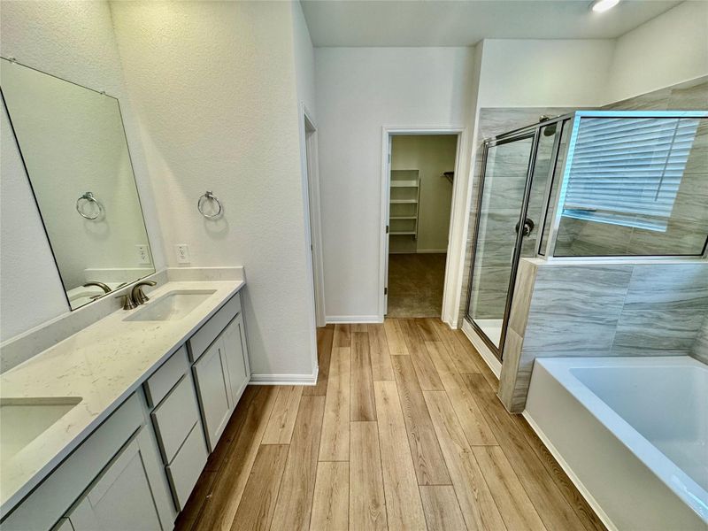 Full bath with a walk in closet, double vanity, a bath, a shower stall, and light wood finished floors