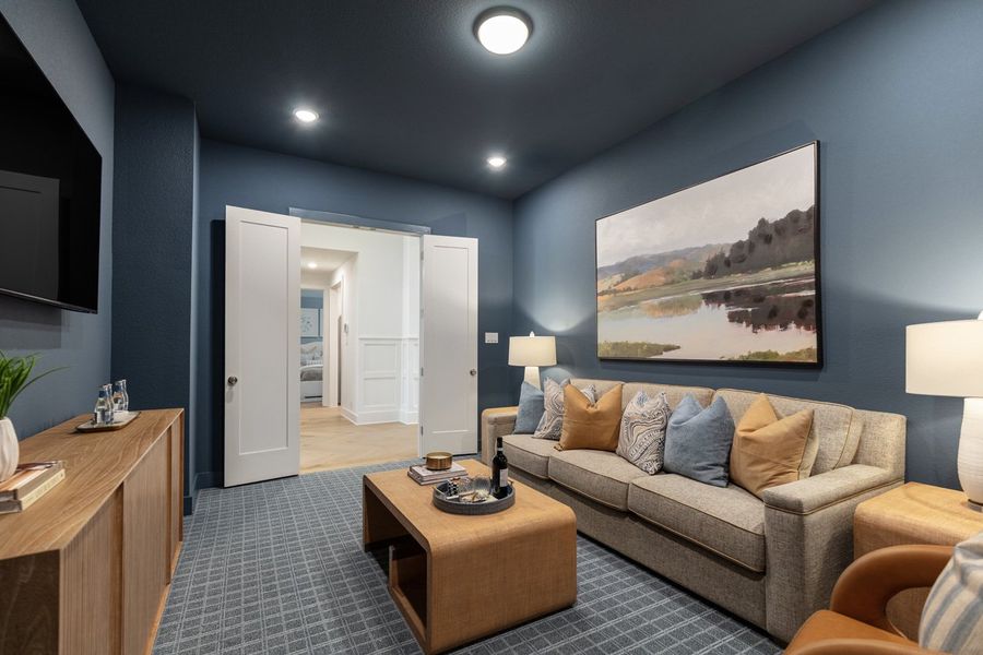 Representative Entertainment Room - some options shown Representative Entertainment Room - some options shown