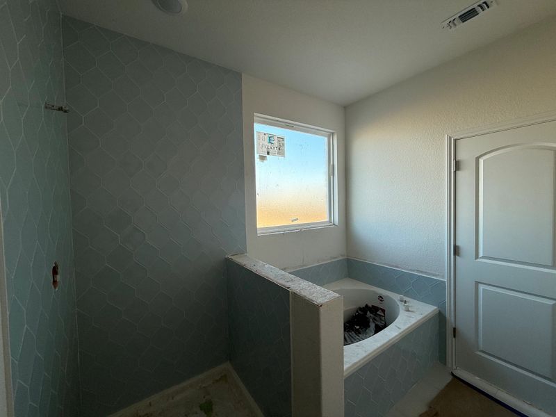 Primary bath Primary bath