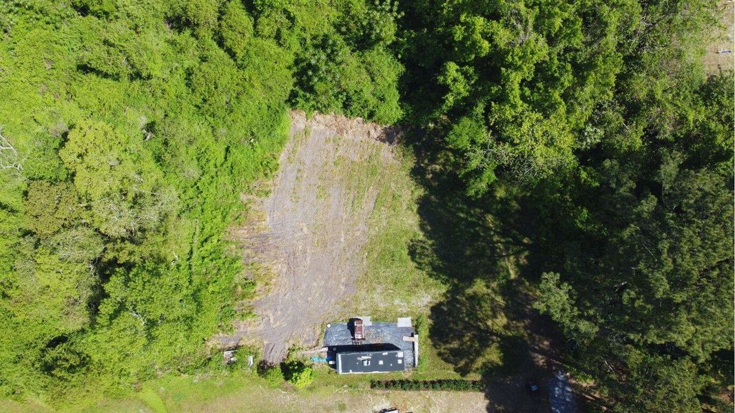 Natural landscape and outdoor views near  in Charleston (Image 11).