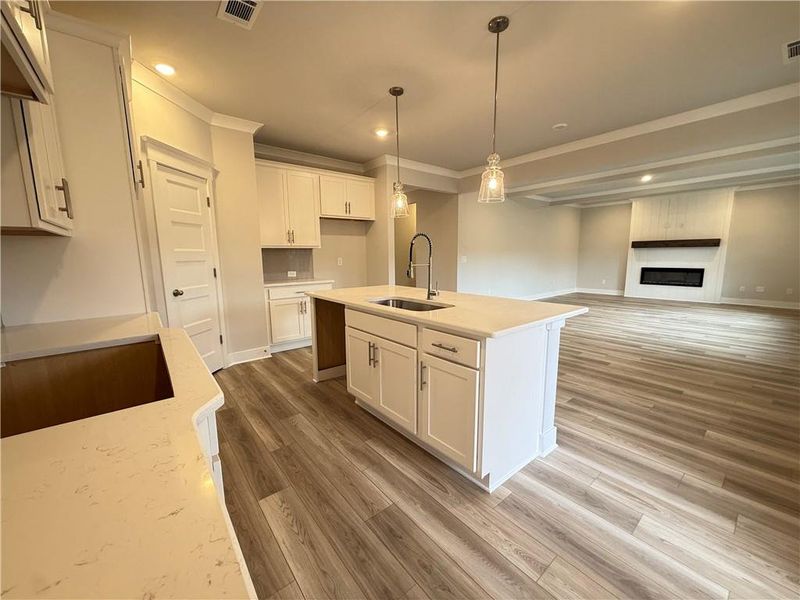 Furnished interior view inside a new home in Ponderosa Farms Manor, Gainesville (Image 14). Furnished interior view inside a new home in Ponderosa Farms Manor, Gainesville (Image 14).