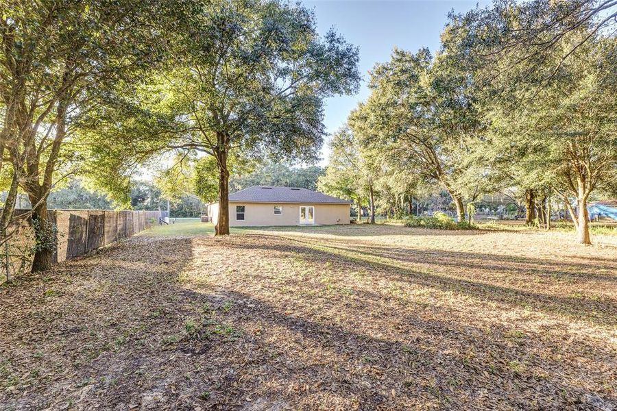 Natural landscape and outdoor views near  in Winter Haven (Image 21).