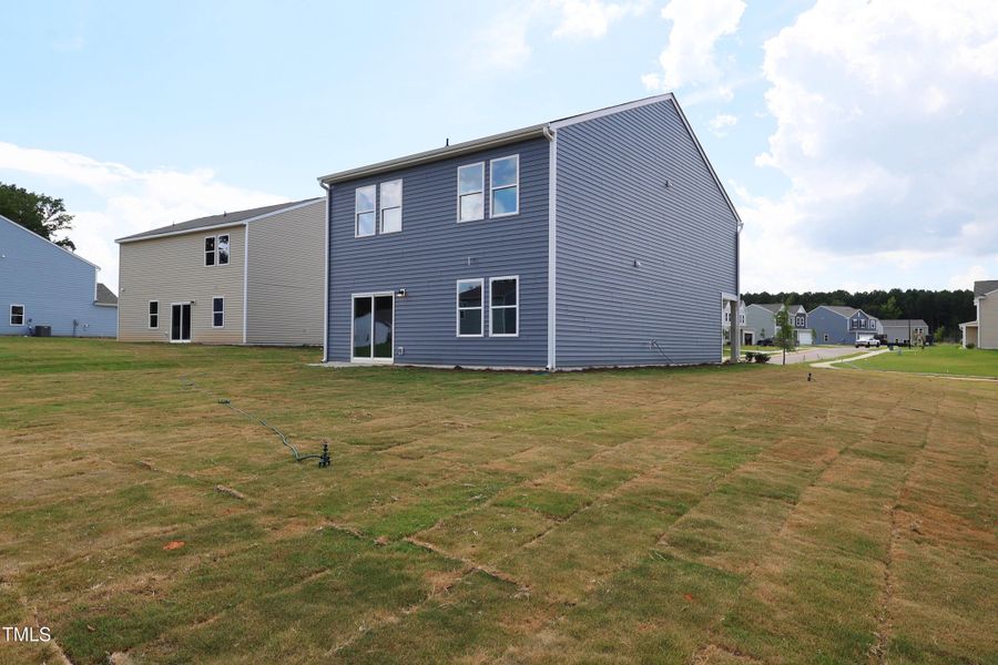 Back Right Back Right