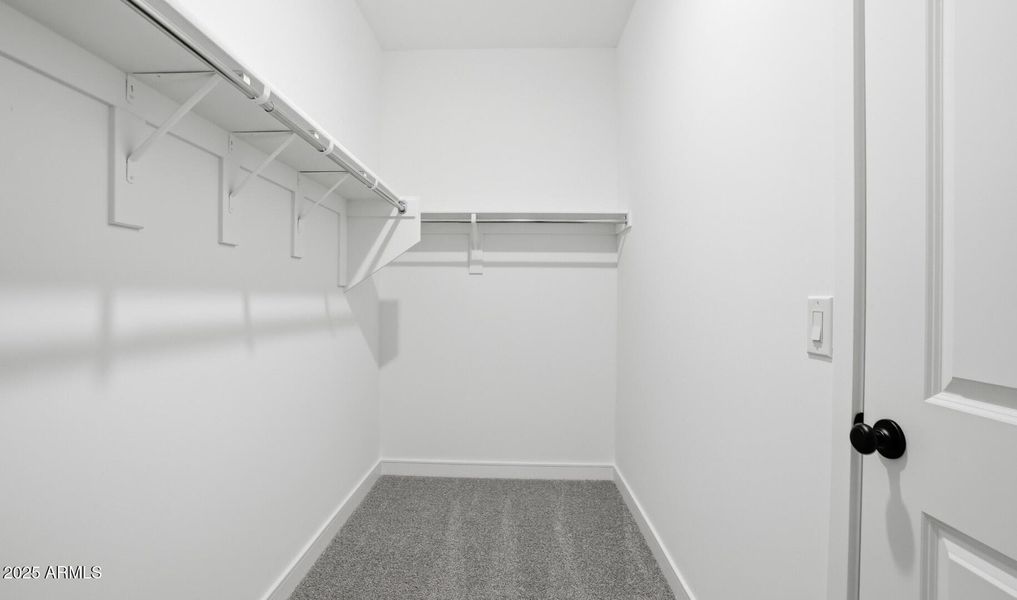 MR Lot #4 Primary Closet (Large)