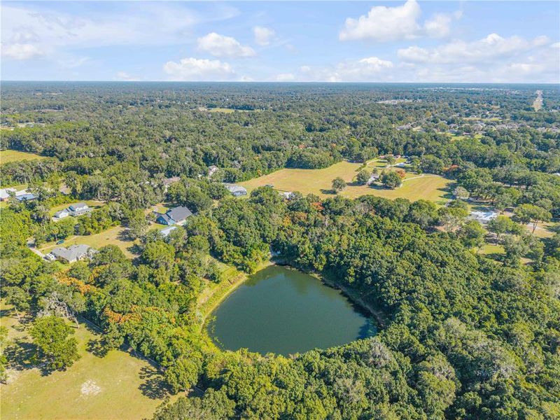 Natural landscape and outdoor views near in Deland (Image 44). Natural landscape and outdoor views near in Deland (Image 44).