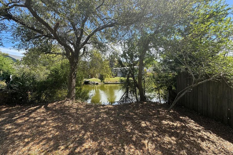 Natural landscape and outdoor views near in Charleston (Image 12). Natural landscape and outdoor views near in Charleston (Image 12).
