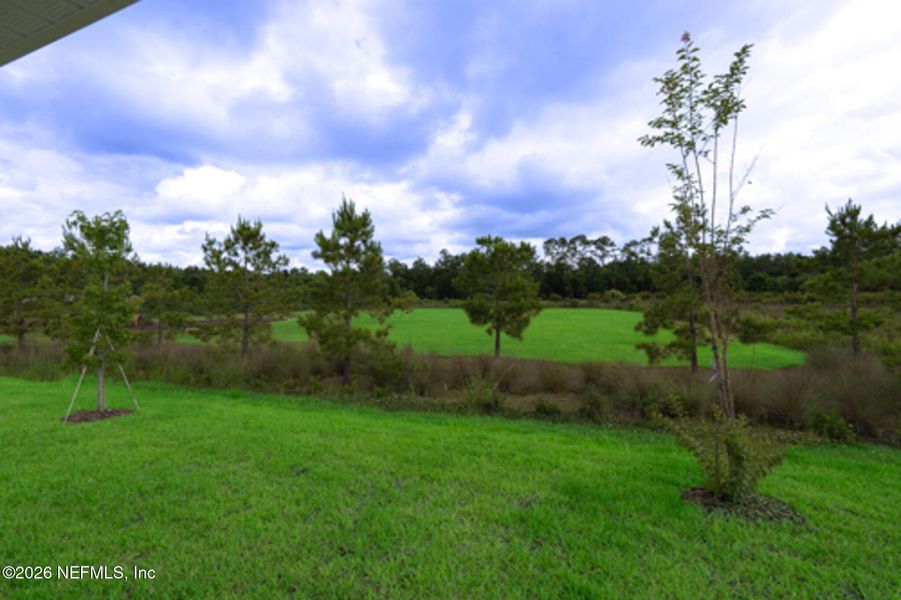 Natural landscape and outdoor views near Summerglen in Jacksonville (Image 25).