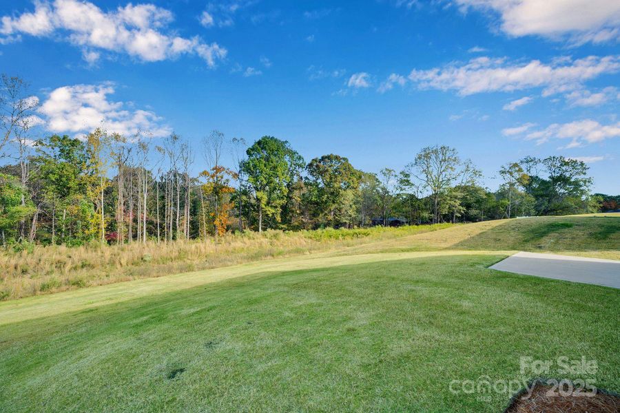 Natural landscape and outdoor views near Seattle Crossing in Shelby (Image 31).