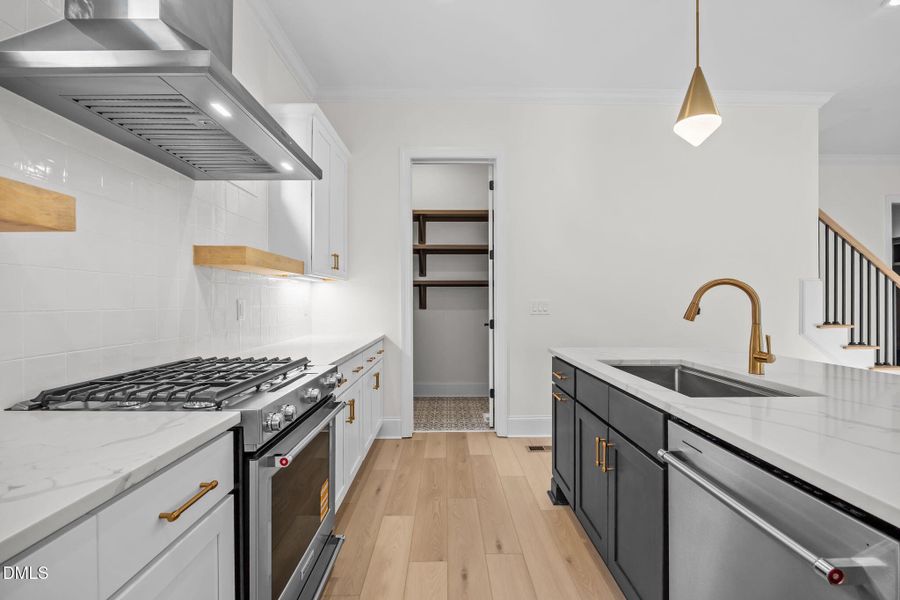 32-web-or-mls-IMG_1947