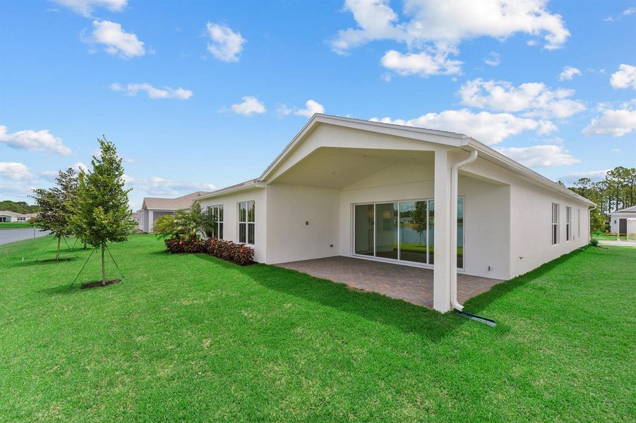 Backyard and Covered Patio Backyard and Covered Patio