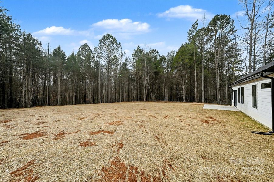 Large back yard with possibilities galore. Large back yard with possibilities galore.