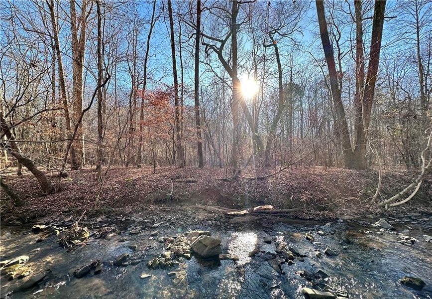 Natural landscape and outdoor views near  in Cumming (Image 9).