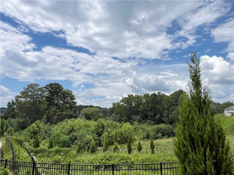 Natural landscape and outdoor views near  in Lawrenceville (Image 26).