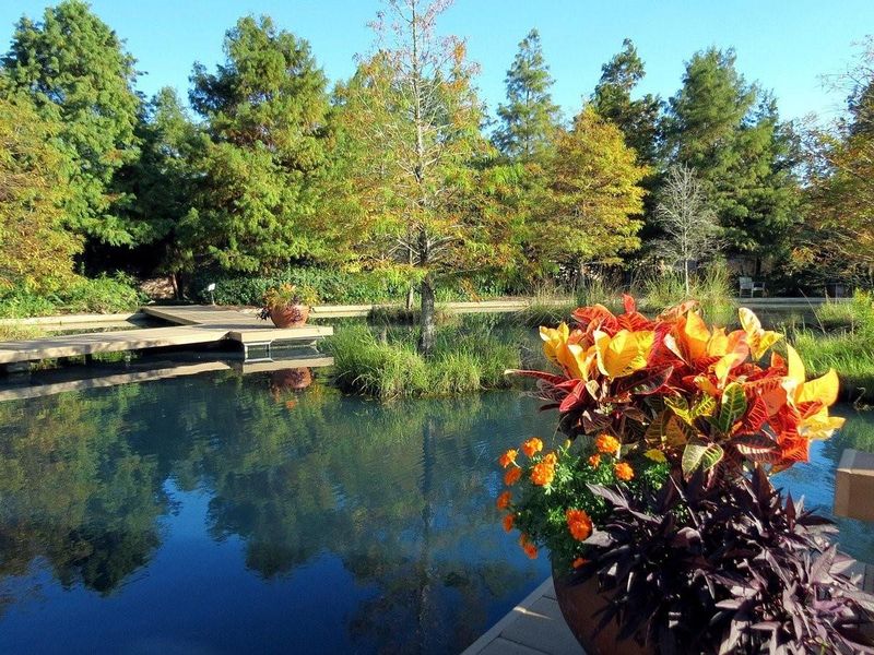 Image 4 of a home in Little Cypress Grove.