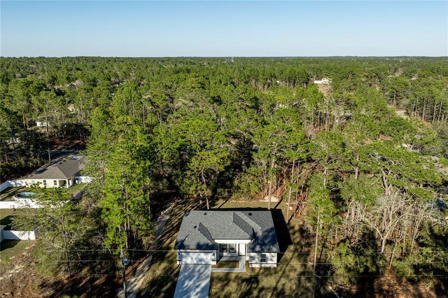 Natural landscape and outdoor views near  in Citrus Springs (Image 40).
