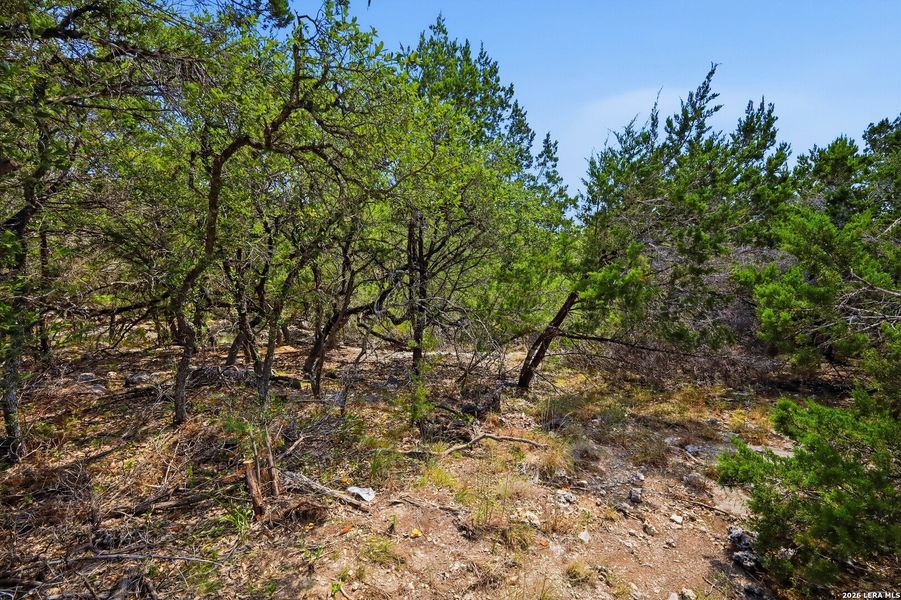 Natural landscape and outdoor views near in Fischer (Image 41). Natural landscape and outdoor views near in Fischer (Image 41).