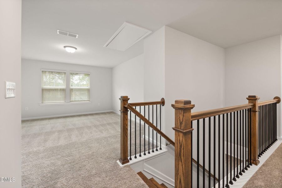 PRO HAMPTON LOT #77 PIC (16)