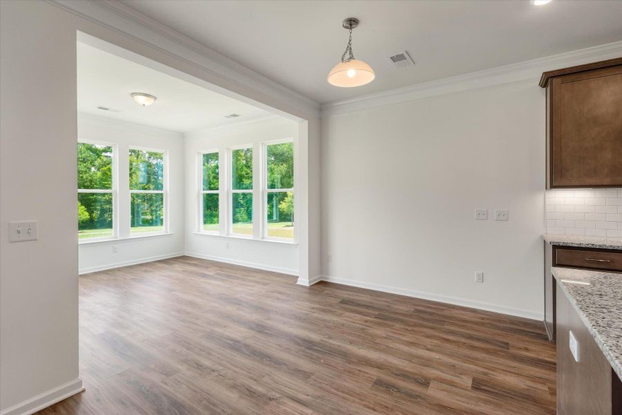 Spacious, unfurnished interior of a new home in Parker's Preserve, Ridgeville (Image 48).