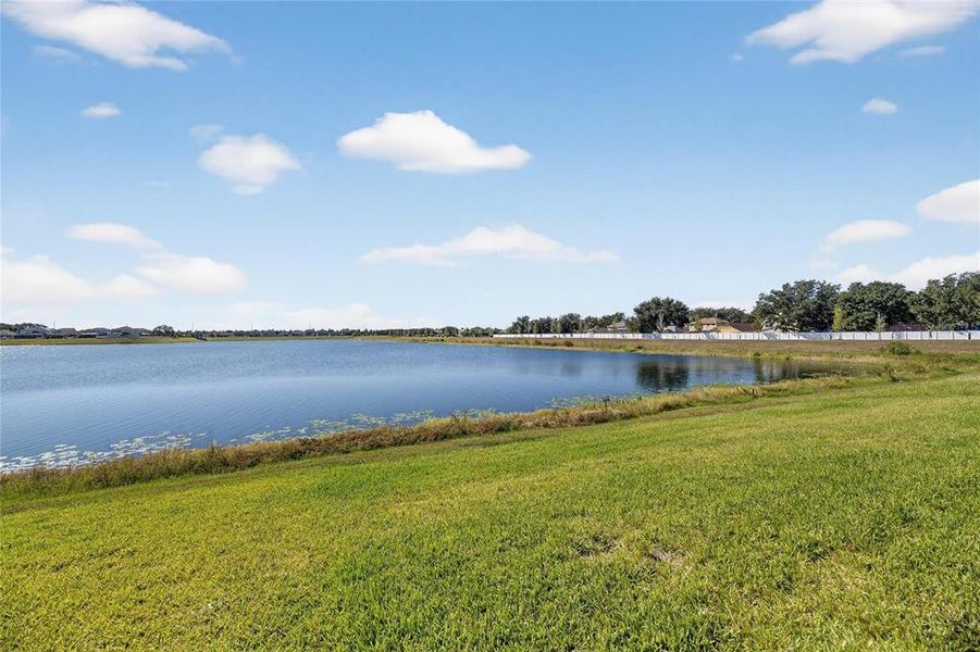 Natural landscape and outdoor views near The Peninsula at Rhodine Lake in Riverview (Image 52).