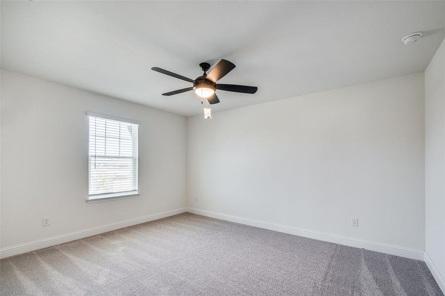 Carpeted empty room featuring baseboards and ceiling fan Carpeted empty room featuring baseboards and ceiling fan