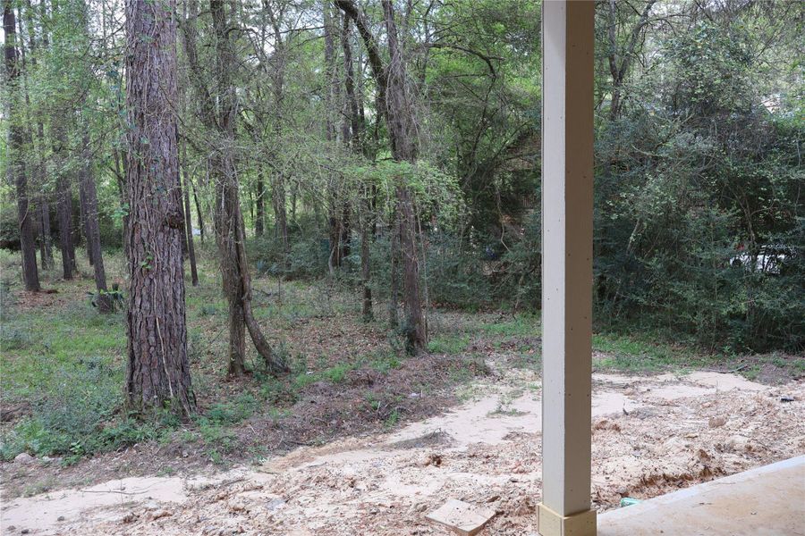 Natural landscape and outdoor views near  in Magnolia (Image 35).