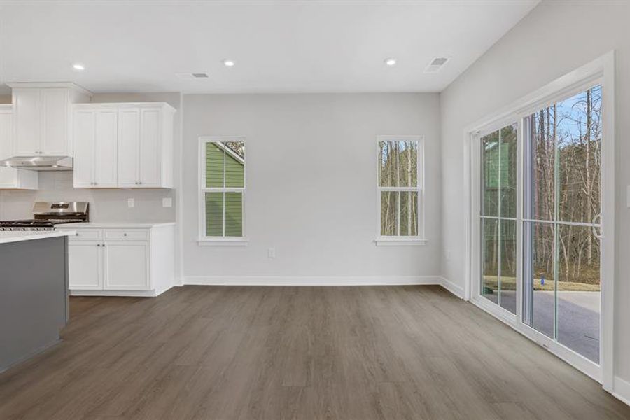 Spacious, unfurnished interior of a new home in Crystal Falls, Dawsonville (Image 27).