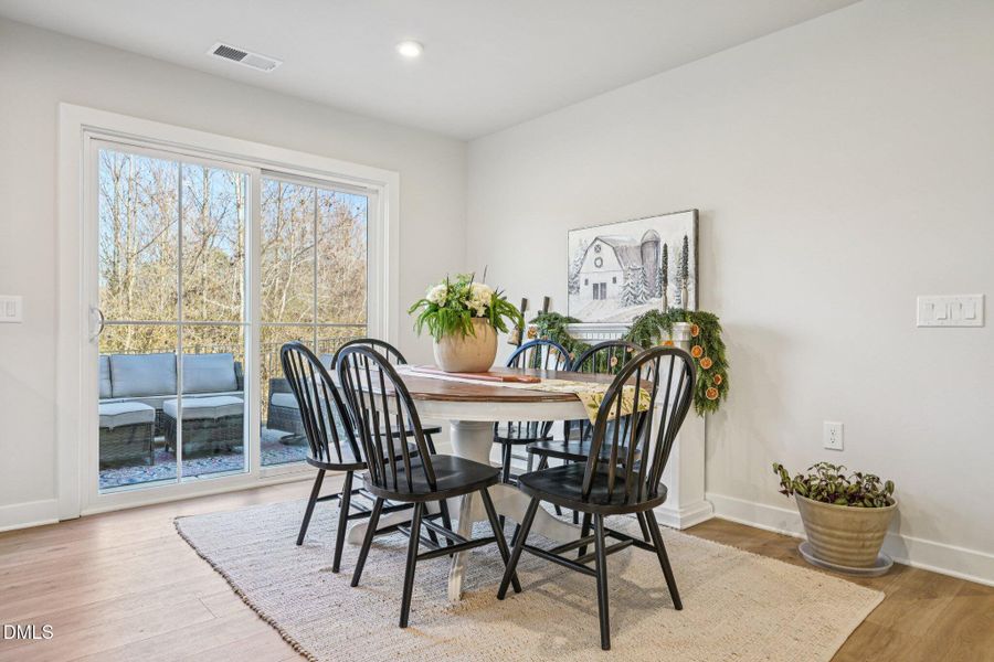 13-web-or-mls-matthiola-S1301-013