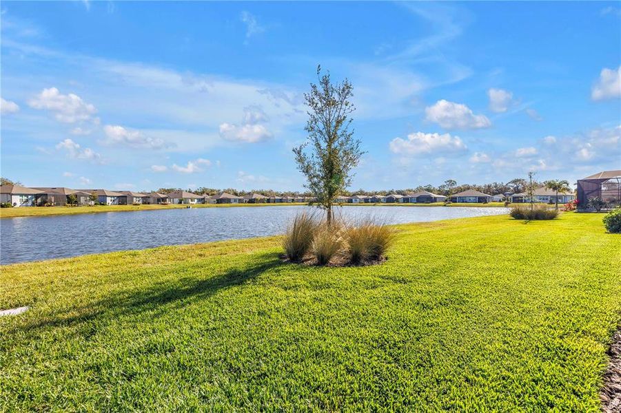 Natural landscape and outdoor views near  in Parrish (Image 29).