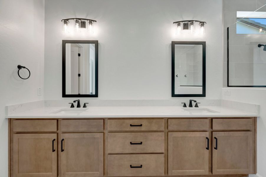 Owner's Bath