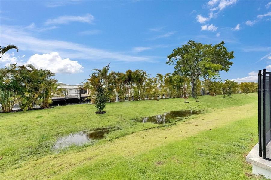 Natural landscape and outdoor views near  in Apollo Beach (Image 93).