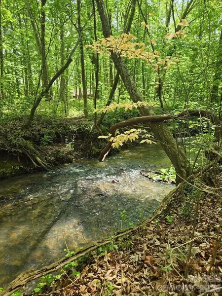 Natural landscape and outdoor views near  in Gastonia (Image 21).
