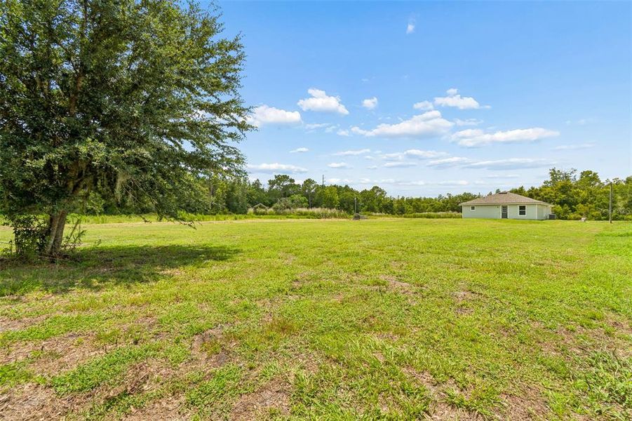 Natural landscape and outdoor views near  in Lakeland (Image 35).