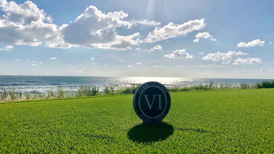 Image 8 representing the Madison by D.R. Horton in Palm Coast Homesites, Palm Coast, FL.