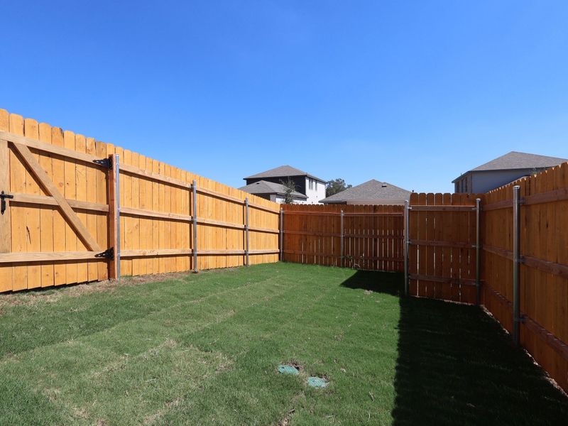 Backyard Backyard