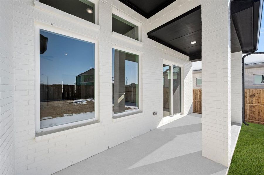 16957 Leatherflower- Back-3