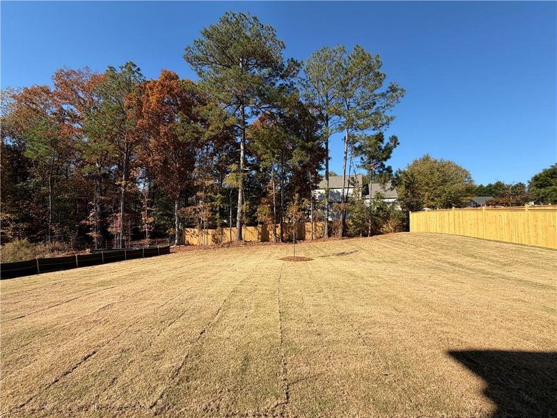 Natural landscape and outdoor views near River Walk Farm in Covington (Image 35). Natural landscape and outdoor views near River Walk Farm in Covington (Image 35).