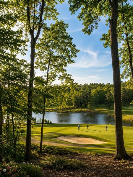 Natural landscape and outdoor views near  in Alpharetta (Image 12).