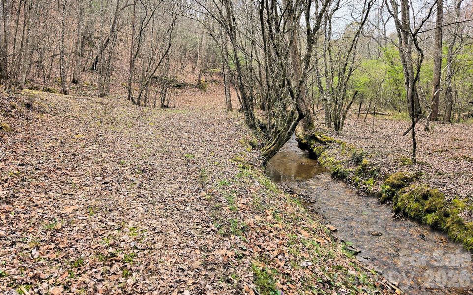 Natural landscape and outdoor views near  in Murphy (Image 38).