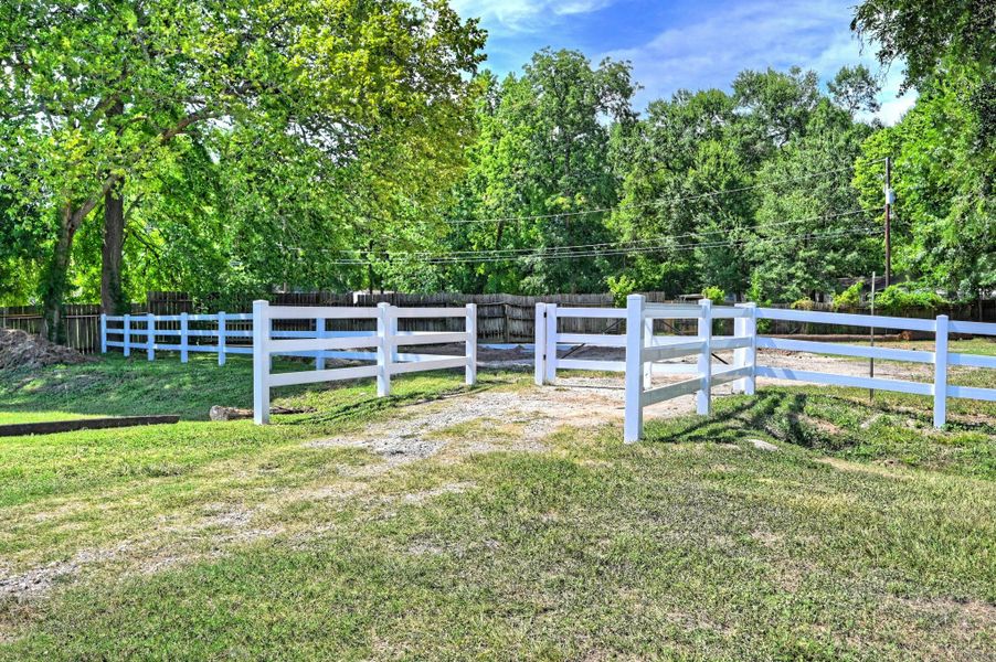 Natural landscape and outdoor views near in Willis (Image 33). Natural landscape and outdoor views near in Willis (Image 33).
