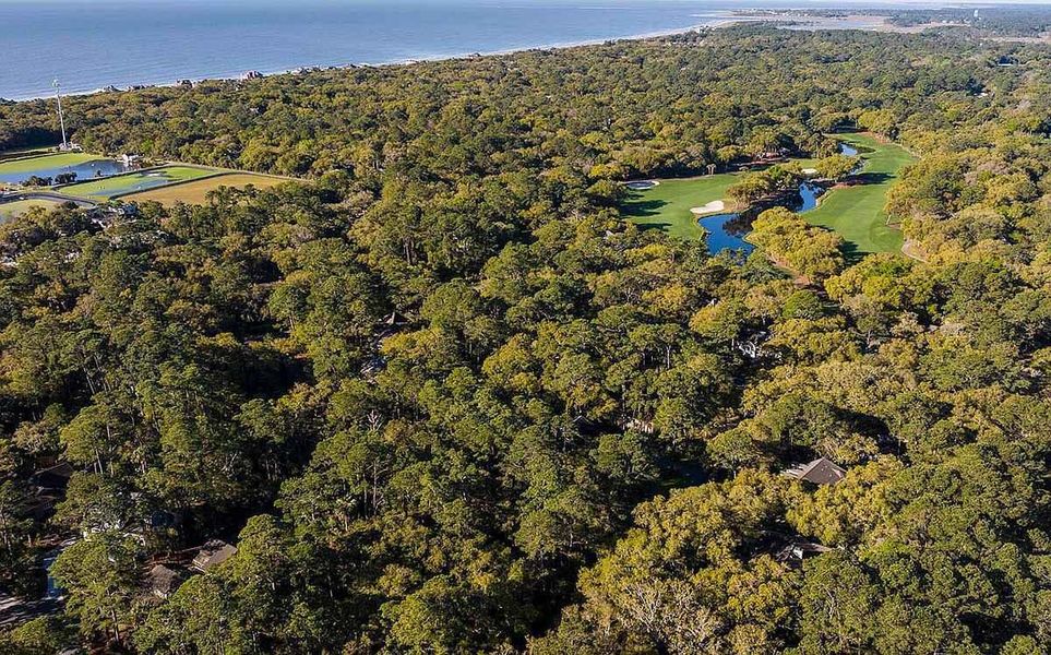 Natural landscape and outdoor views near  in Johns Island (Image 22).