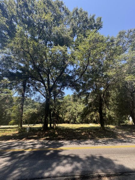 Natural landscape and outdoor views near in Johns Island (Image 50). Natural landscape and outdoor views near in Johns Island (Image 50).