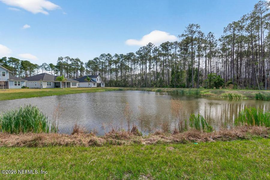 Natural landscape and outdoor views near Trailmark in St. Augustine (Image 72). Natural landscape and outdoor views near Trailmark in St. Augustine (Image 72).