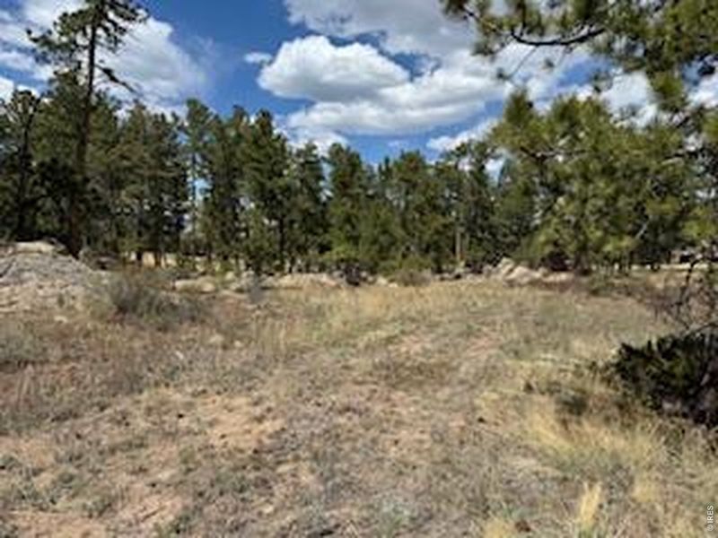 Natural landscape and outdoor views near  in Red Feather Lakes (Image 18).