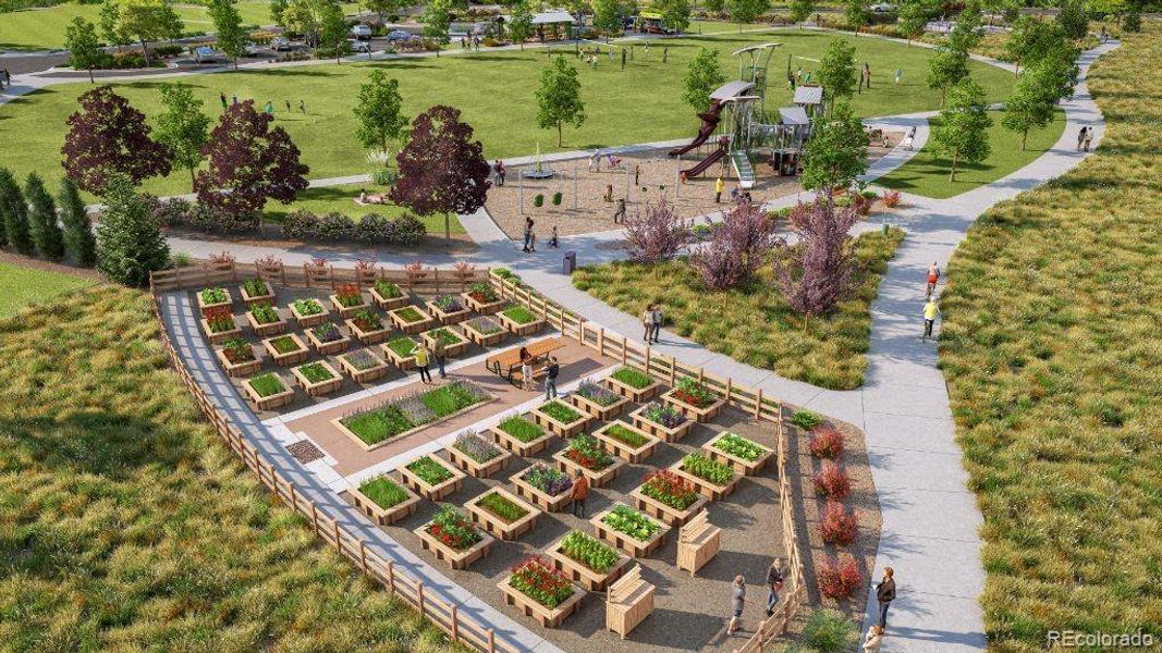 Parterre Community ~ Proposed Amenity Parterre Community ~ Proposed Amenity