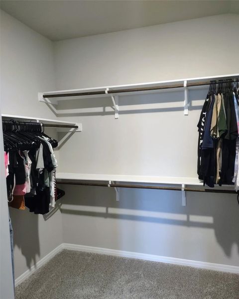 Walk in closet featuring light colored carpet