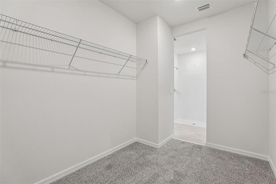 Spacious, unfurnished interior of a new home in Bradbury Creek - Signature Series, Haines City (Image 33).