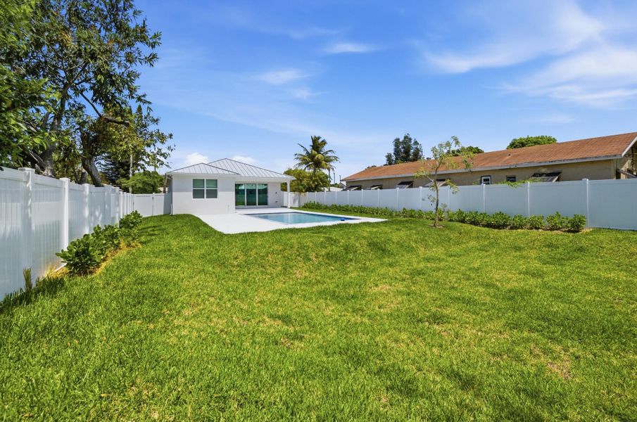 backyard backyard