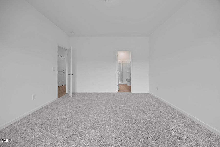 11-web-or-mls-6S8A4123